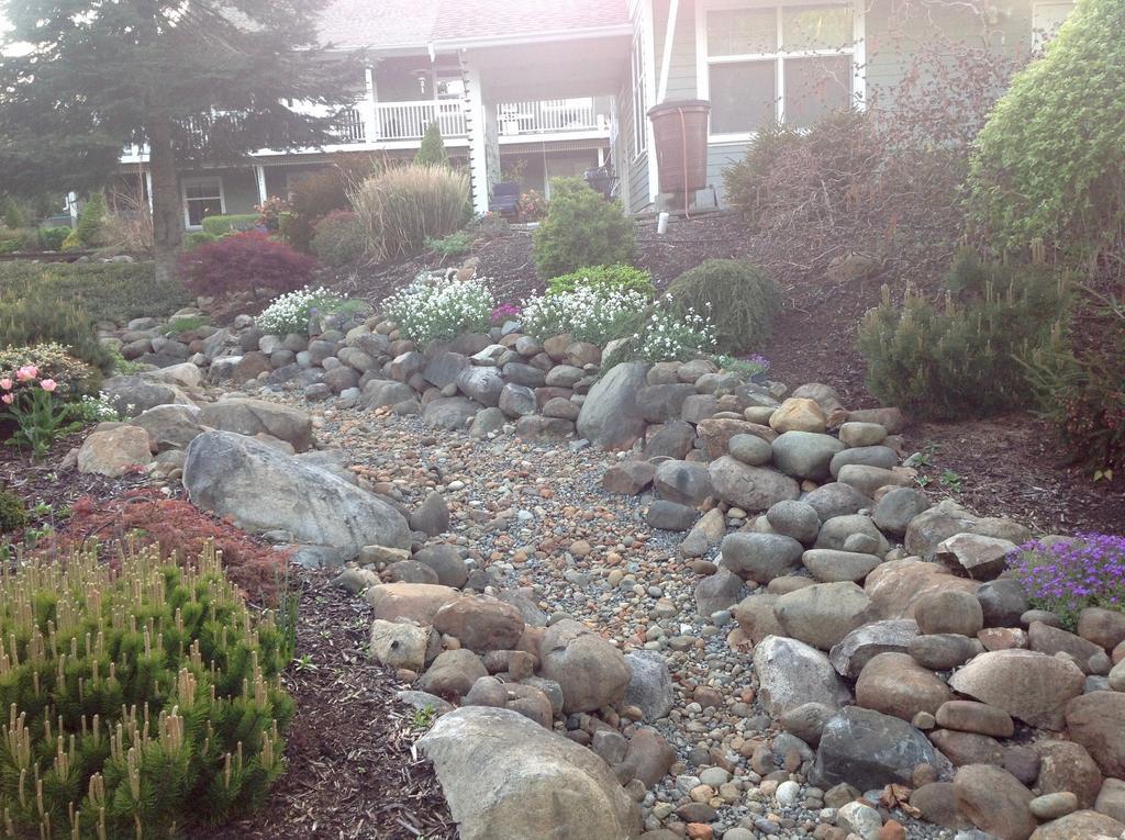 Little Bear Garden View Suites-hummingbird Apartment