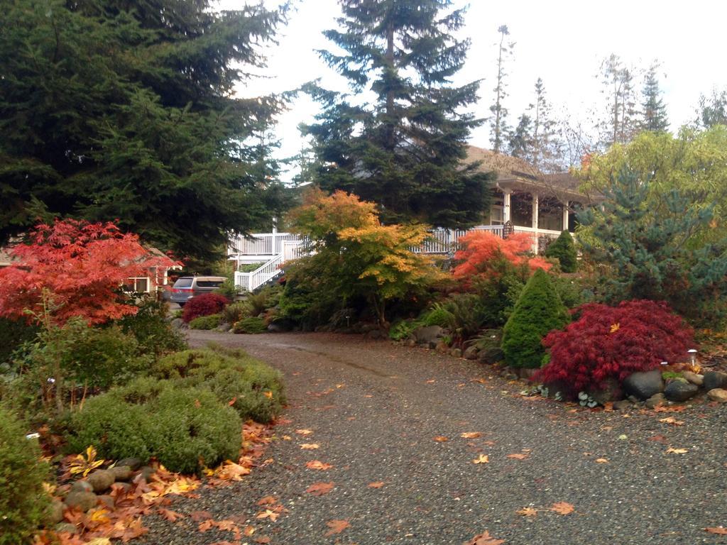 Little Bear Garden View Suites-hummingbird *